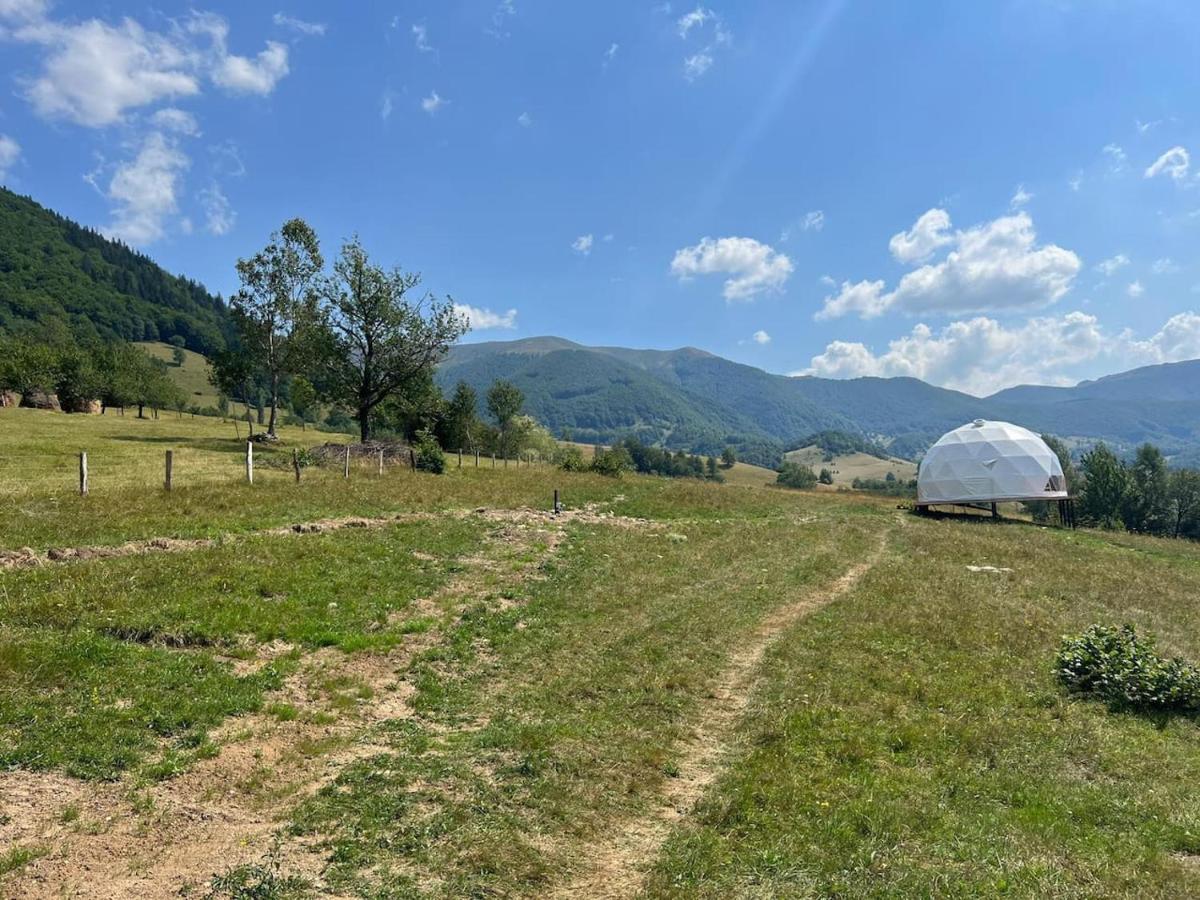 Hotel Tranquil Dome - Manta'S Retreat Glamping Cornereva Exterior foto